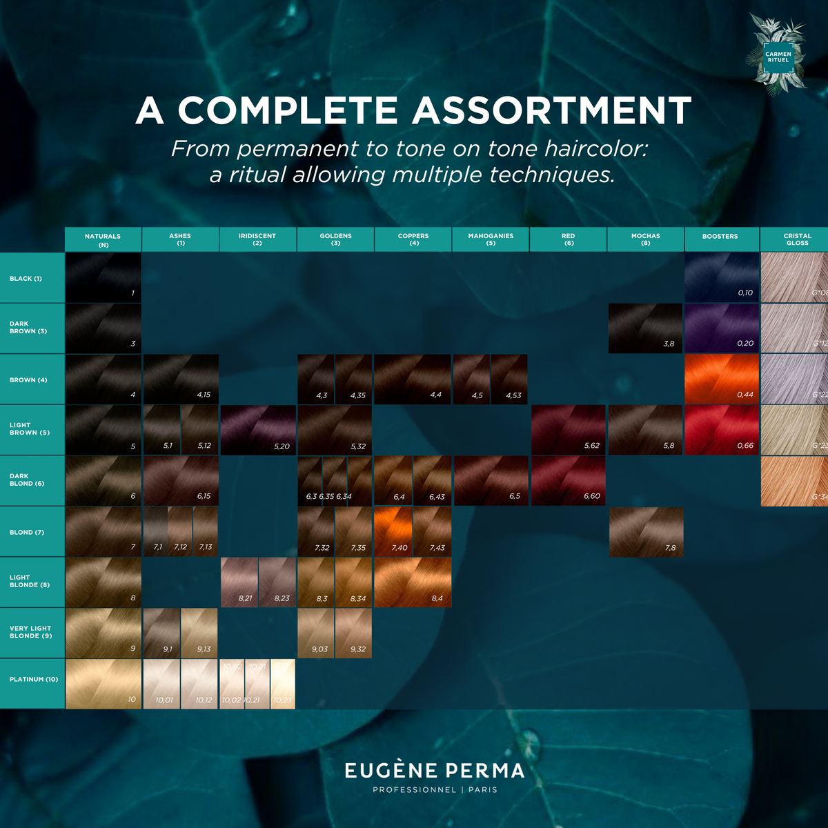 Coloring Creams - The Gloss