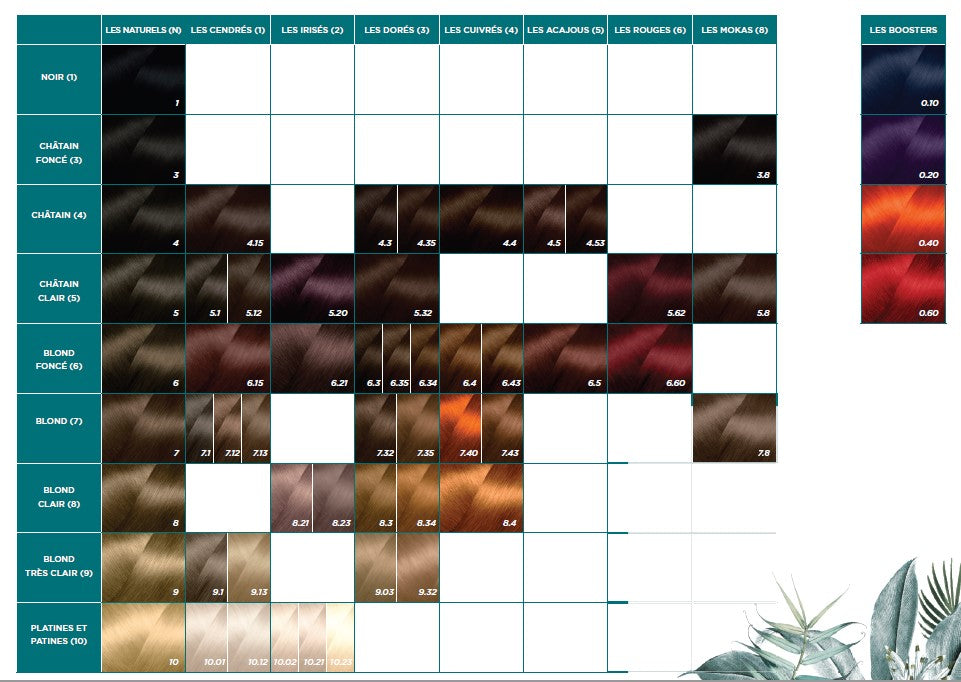 Coloring Creams - The Golden